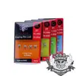 Demon Killer Raging Fire Coils (4pcs/pack)