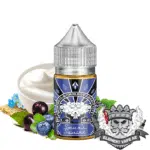 Smurs Squirt Saltnic - Ohmboyz Drip City